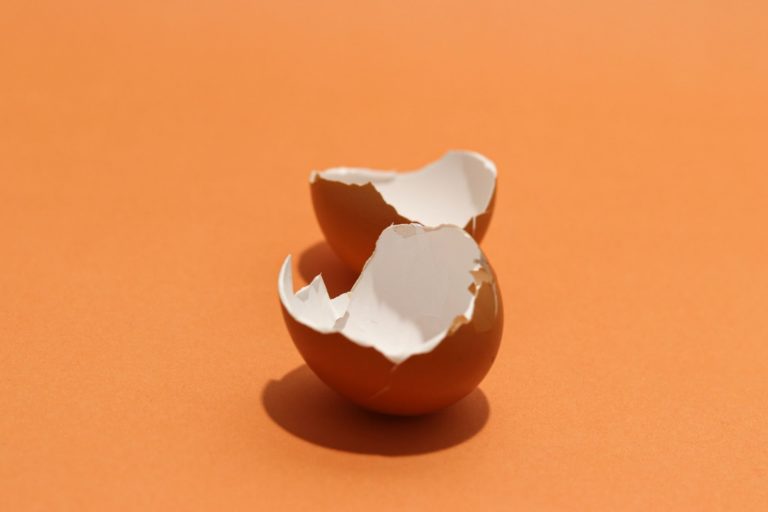 Is Eggshell Biodegradable?