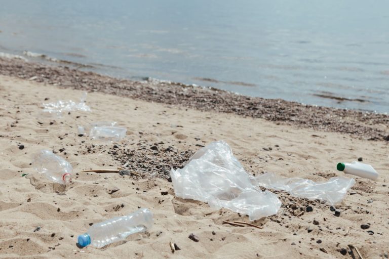 Why Plastic Bags Are Bad For The Environment