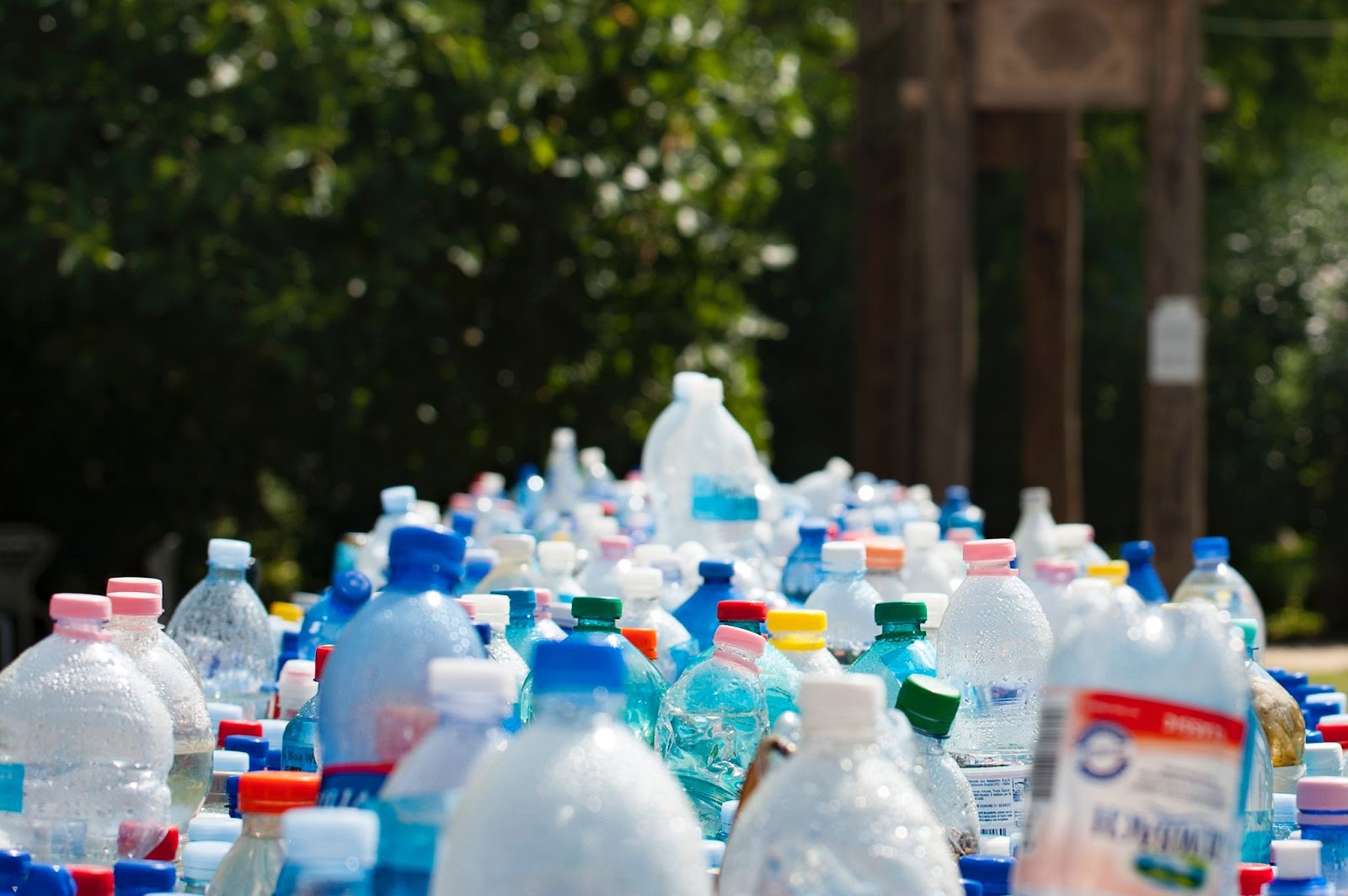 Why Plastic Water Bottles Are Bad For The Environment