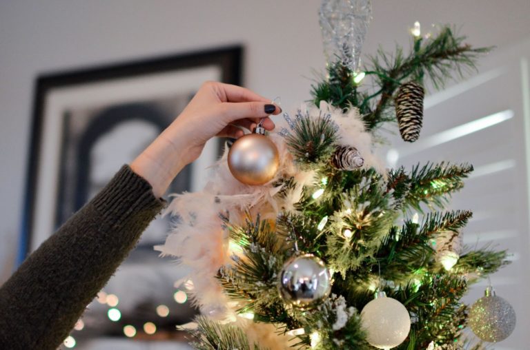 Sustainable Christmas Tree Ideas For an Eco-friendly Holiday Season
